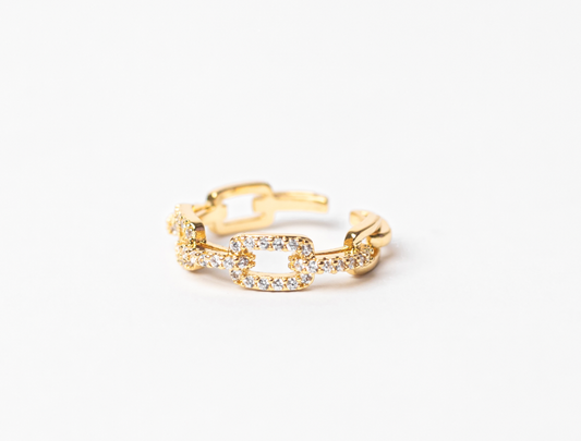 Chain Ring